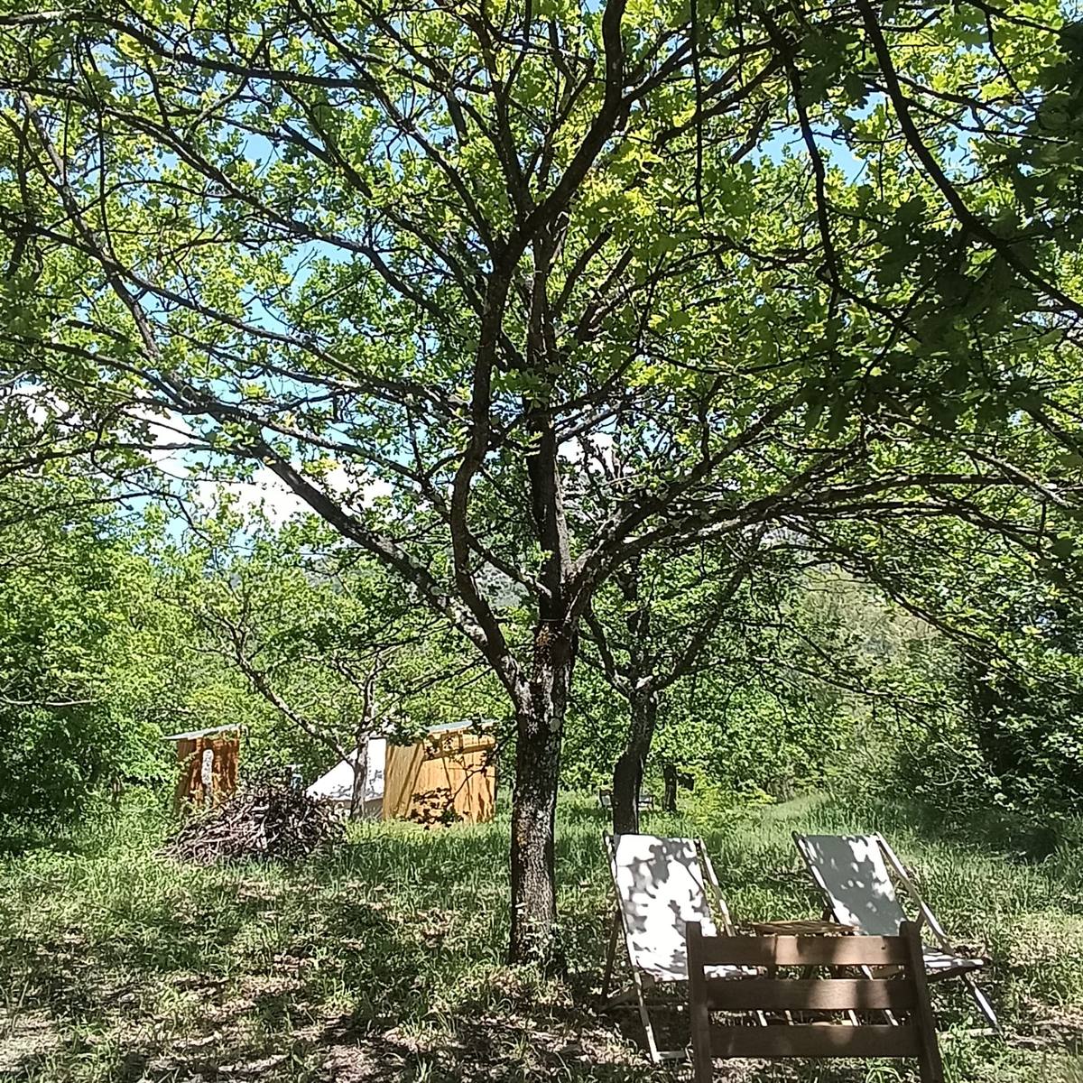 Tentes glamping sous les arbres et transats, dans le pré